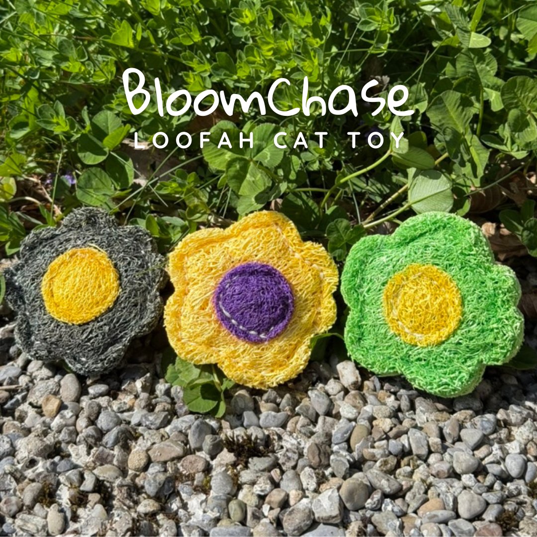 BloomChase loofah flower cat toy
