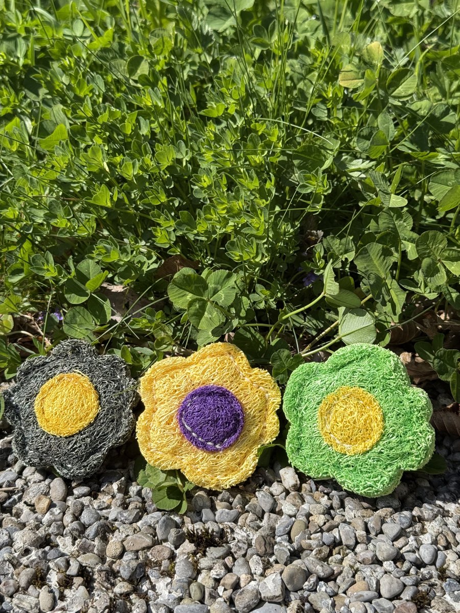 BloomChase loofah flowers